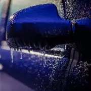 Expert Reveals Foolproof Method to Defrost Car Doors Safely This Winter