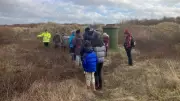 First Petalwort Safari at Ainsdale Draws Crowds to Monitor Dune Health