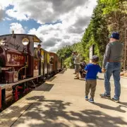 Half Term Savings: Get 25% Off Family Fun at Tamworth's Statfold Country Park