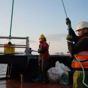 Hinkley Point C's 'Fish Disco' Proves Highly Effective in Protecting Marine Life