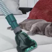 Hoover Breeze Pet Vacuum Drops £30, Praised for Quiet Power and Pet Hair Removal
