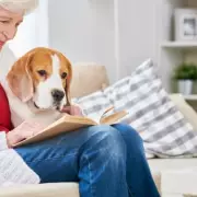 Jollyes Launches 'Simply' Range: UK's Most Affordable Pet Food Brand