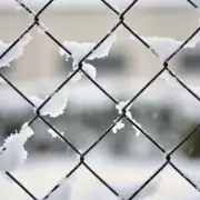 Midlands Braces for Rare 'Freezing Rain' Hazard This Weekend