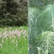 Midlands Expert Warns 'No Greenbelt Is Safe' After 115-Home Development Sets 'Worrying Precedent'