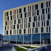 Newcastle Skin Health Firm's Shares Plunge 70% Amid CEO Conduct Probe