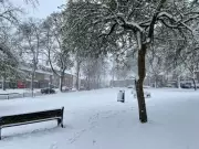Snow Forecast for Birmingham and West Midlands: Exact Timing and Details
