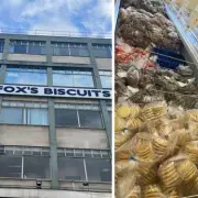 Strictly Judge and Dubai Biscuits Boost Jammie Dodgers Maker's Profits