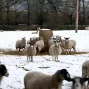 Yellow Snow Warning Issued for West Midlands with Up to 5cm Forecast