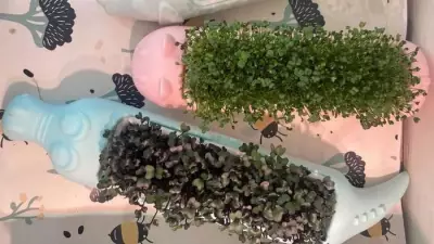 Derbyshire Duo Launches Reusable Growing Kits for Kids