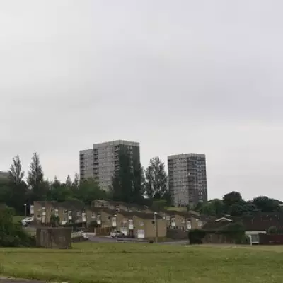 Druids Heath Regeneration Supporters Face Intimidation and Misinformation