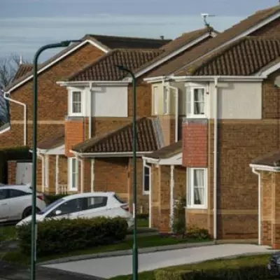 Expert Warns: Cars Built After 2000 Are Too Complex for DIY Repairs