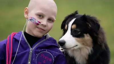 Freya Harris Defies Stage 4 Cancer to Shine at Crufts with Her Dog Echo