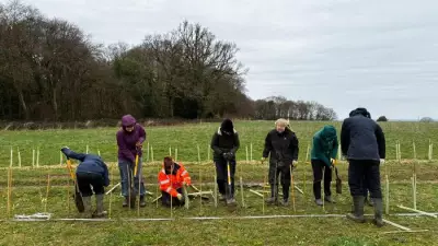 Hertfordshire's Hedgerow Heroes Plant Over 2km of New Wildlife Corridors