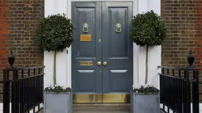 Lollipop Trees: Elegant Design Statements for Small Gardens and Patios