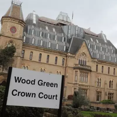 London Couple Jailed After XL Bully Dog Attacks Child, Causing Serious Injuries