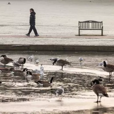 Met Office Issues Icy Conditions Alert for Birmingham Tonight