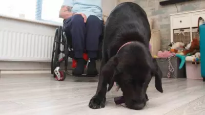 Midlands Dog Lovers Invited to Special Afternoon Tea for Disability Support