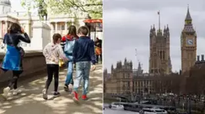 Natural History Museum Dethroned as Top UK Tourist Attraction in 2026