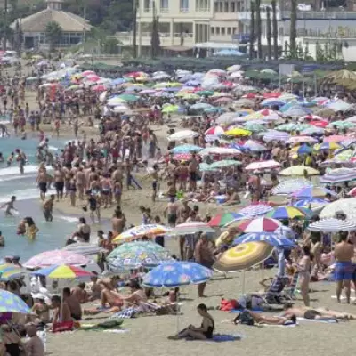 On the Beach Shares Plunge as Middle East Crisis Forces Profit Guidance Withdrawal