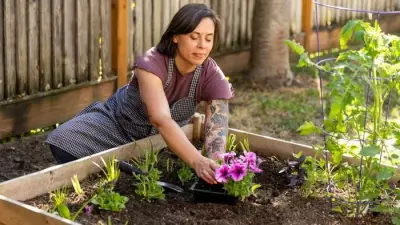 The 'Lasagne' Method: A Cost-Effective Guide to Building Raised Garden Beds