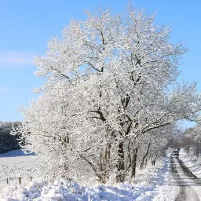 UK Braces for March Snow: 27 Counties Including Midlands on Alert