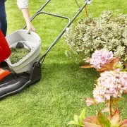 Amazon Slashes Flymo Mower Price to £103 for Spring Lawn Care