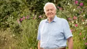 BBC to Air Three Original Specials for Sir David Attenborough's 100th Birthday