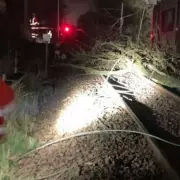 Birmingham New Street Train Services Face Major Disruption After Tree Blocks Line