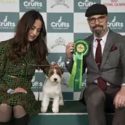 Crufts 2026 Day 2: Terrier and Hound Groups Schedule and Highlights