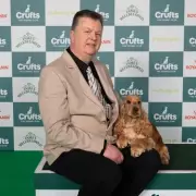 Crufts 2026 Day 4: Gundogs Compete for Best in Show Crown