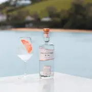 Devon's Salcombe Gin Distillery Targets Major Expansion Amid Surging Demand