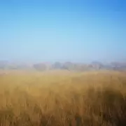 Foreign Office Issues Flash Flood Warning for UK Tourists in Botswana