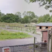 Government Inspector Overrules Solihull Council on Green Belt Stable Conversion