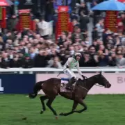 Irish Pensioner Wins £485,000 from 43p Bet at Cheltenham Festival