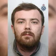 Man Found Guilty After XL Bully Attack Kills Pensioner in Driveway Incident