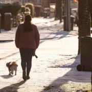 New Dog Walking Law in England and Wales Imposes Unlimited Fines from Wednesday