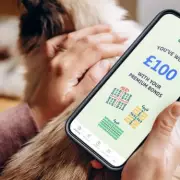 NS&I Faces Massive Compensation Payout Over Missing Savings for 37,000 Customers