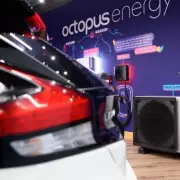 Octopus Energy Offers Six Months Free EV Charging in New Andersen Deal