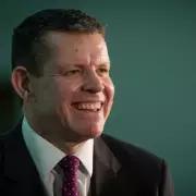 Plaid Cymru's 100-Day Economic Plan: Skills Audit, Procurement Boost, and Agency Creation