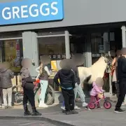 Pony Makes Unusual Visit to Greggs Bakery in Walsall Town Centre
