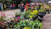 Spring Plant Hunters' Fair Returns to Arley Hall Gardens This March