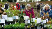 Sugnall Walled Garden Hosts Spring Plant Hunters' Fair for Garden Enthusiasts