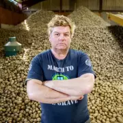 UK Potato Farmers Face Crisis as Weight Loss Jabs and Health Trends Slash Demand