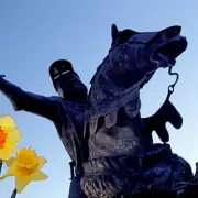 Welsh Universities Face Crisis: Calls for Urgent Reform and National Strategy