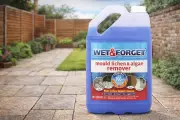 Wet & Forget Patio Cleaner Drops to £25.99 in Amazon Spring Sale