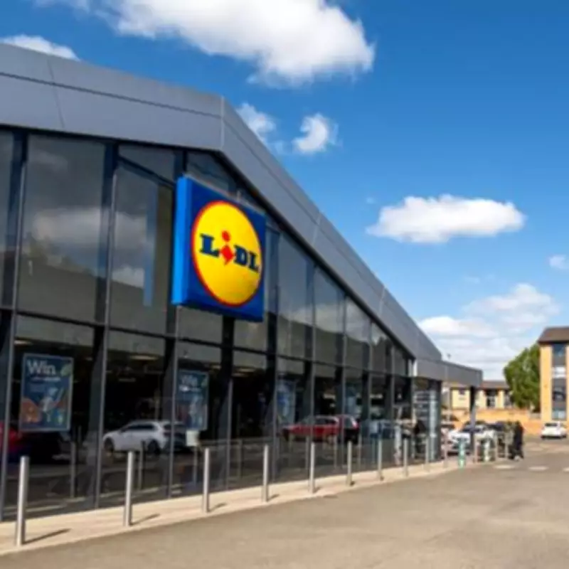 Lidl to Sell Plug-in Solar Panels That Could Save Households £110 Annually