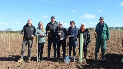 7,000 Trees Planted to Create New Woodland in Nanpantan, Loughborough