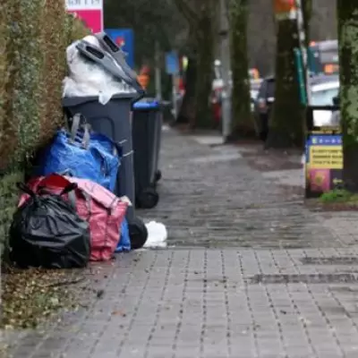 79 Councils Granted Exemption from New Recycling Rules Until 2043