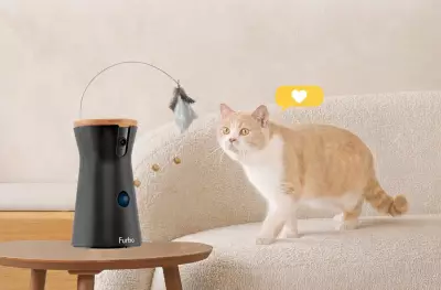 Affordable £32 Pet Camera Tosses Treats and Tracks Pets Remotely