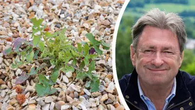 Alan Titchmarsh Shares Chemical-Free Method to Kill Weeds Using Sunlight